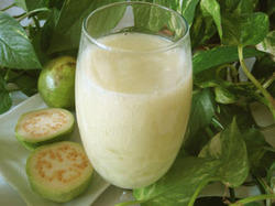 Guava Juice Manufacturer Supplier Wholesale Exporter Importer Buyer Trader Retailer in Hyderabad Andhra Pradesh India